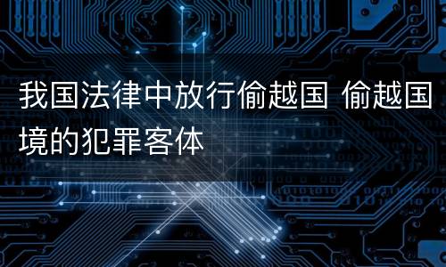 我国法律中放行偷越国 偷越国境的犯罪客体