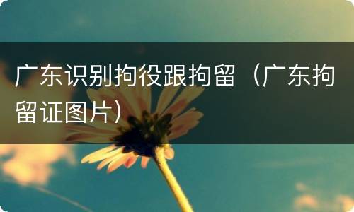 广东识别拘役跟拘留（广东拘留证图片）