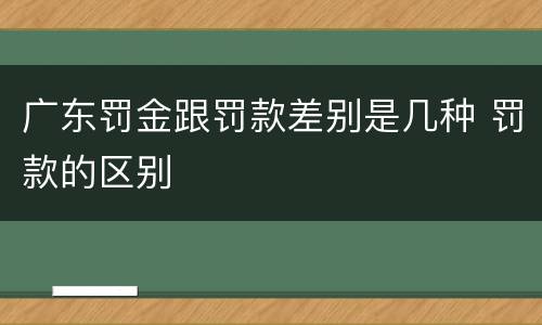广东罚金跟罚款差别是几种 罚款的区别