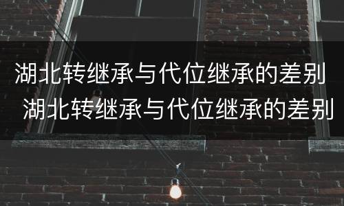 湖北转继承与代位继承的差别 湖北转继承与代位继承的差别有哪些