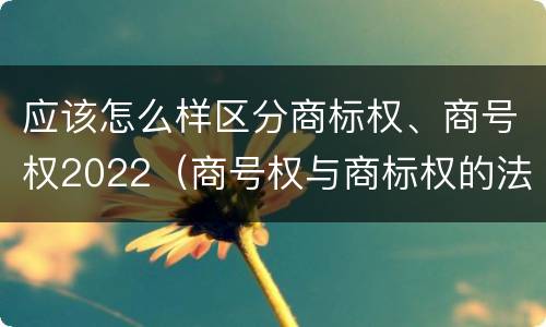 应该怎么样区分商标权、商号权2022（商号权与商标权的法律冲突与解决）