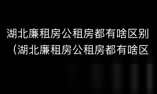 湖北廉租房公租房都有啥区别（湖北廉租房公租房都有啥区别啊）