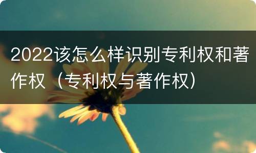 2022该怎么样识别专利权和著作权（专利权与著作权）