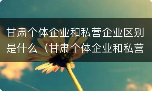 甘肃个体企业和私营企业区别是什么（甘肃个体企业和私营企业区别是什么呢）