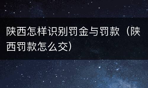 陕西怎样识别罚金与罚款（陕西罚款怎么交）