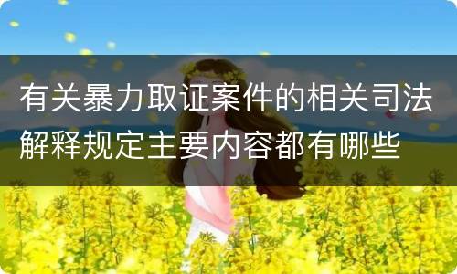 有关暴力取证案件的相关司法解释规定主要内容都有哪些