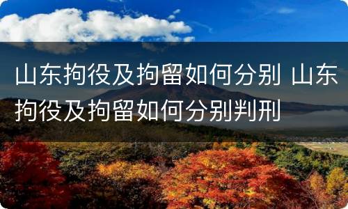 山东拘役及拘留如何分别 山东拘役及拘留如何分别判刑