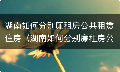 湖南如何分别廉租房公共租赁住房（湖南如何分别廉租房公共租赁住房呢）