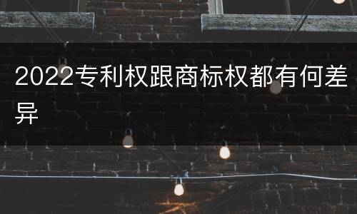 2022专利权跟商标权都有何差异