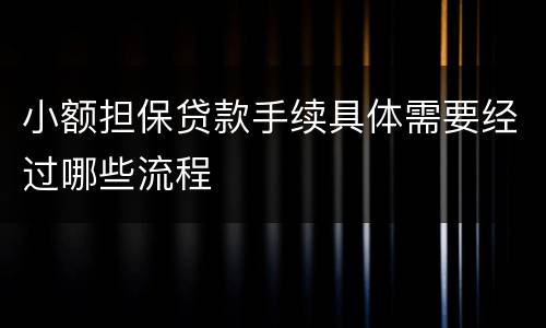 小额担保贷款手续具体需要经过哪些流程