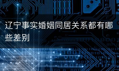 辽宁事实婚姻同居关系都有哪些差别