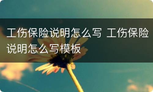工伤保险说明怎么写 工伤保险说明怎么写模板