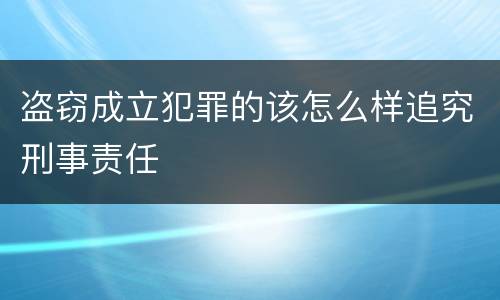 盗窃成立犯罪的该怎么样追究刑事责任