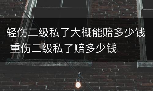 轻伤二级私了大概能赔多少钱 重伤二级私了赔多少钱