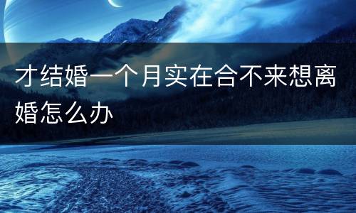 才结婚一个月实在合不来想离婚怎么办