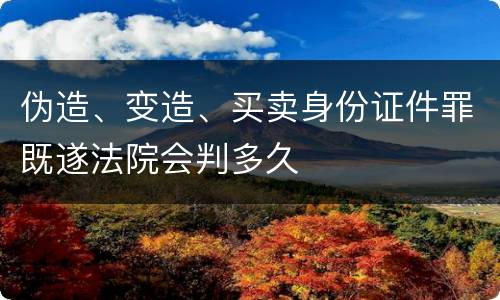 伪造、变造、买卖身份证件罪既遂法院会判多久