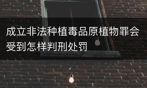成立非法种植毒品原植物罪会受到怎样判刑处罚