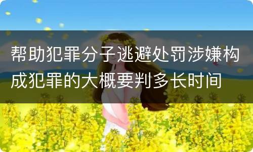 帮助犯罪分子逃避处罚涉嫌构成犯罪的大概要判多长时间