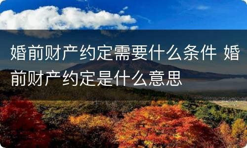 婚前财产约定需要什么条件 婚前财产约定是什么意思