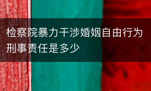 检察院暴力干涉婚姻自由行为刑事责任是多少