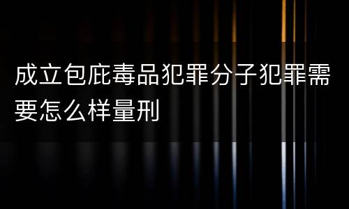 成立包庇毒品犯罪分子犯罪需要怎么样量刑