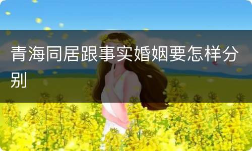 青海同居跟事实婚姻要怎样分别