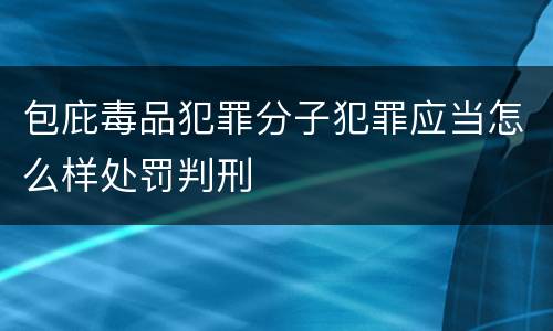 包庇毒品犯罪分子犯罪应当怎么样处罚判刑
