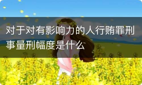 对于对有影响力的人行贿罪刑事量刑幅度是什么