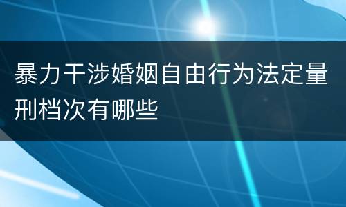 暴力干涉婚姻自由行为法定量刑档次有哪些