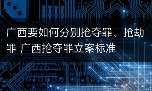 广西要如何分别抢夺罪、抢劫罪 广西抢夺罪立案标准