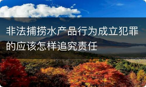 非法捕捞水产品行为成立犯罪的应该怎样追究责任