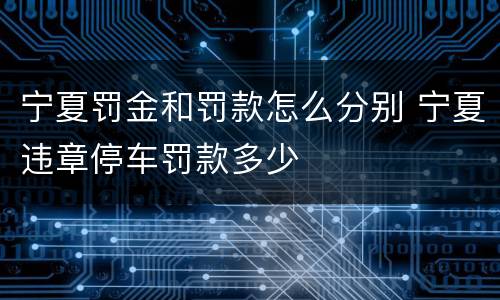宁夏罚金和罚款怎么分别 宁夏违章停车罚款多少
