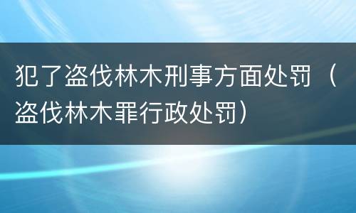犯了盗伐林木刑事方面处罚（盗伐林木罪行政处罚）