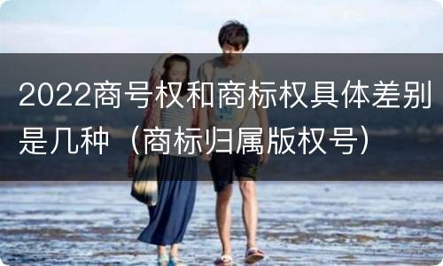 2022商号权和商标权具体差别是几种（商标归属版权号）