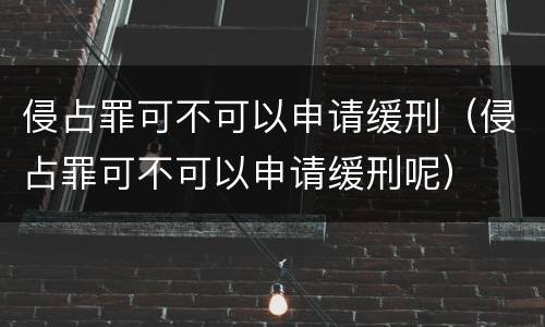 侵占罪可不可以申请缓刑（侵占罪可不可以申请缓刑呢）
