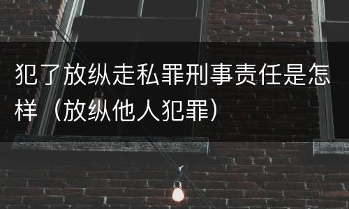 犯了放纵走私罪刑事责任是怎样（放纵他人犯罪）