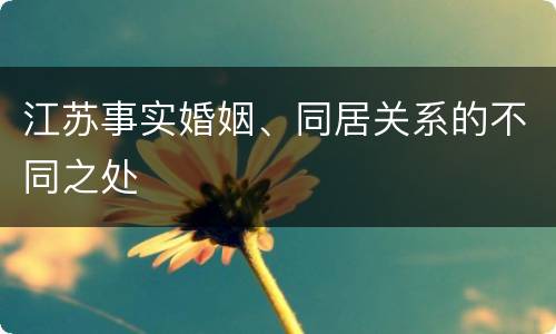 江苏事实婚姻、同居关系的不同之处