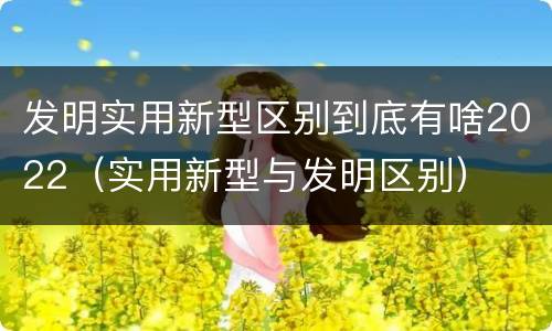 发明实用新型区别到底有啥2022（实用新型与发明区别）