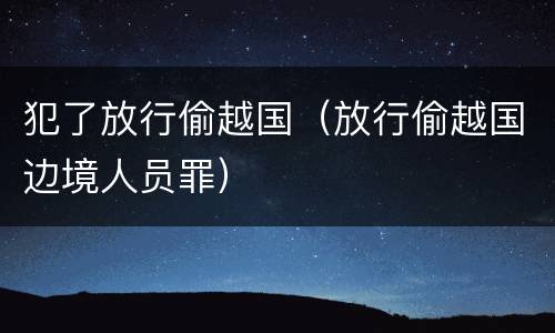犯了放行偷越国（放行偷越国边境人员罪）