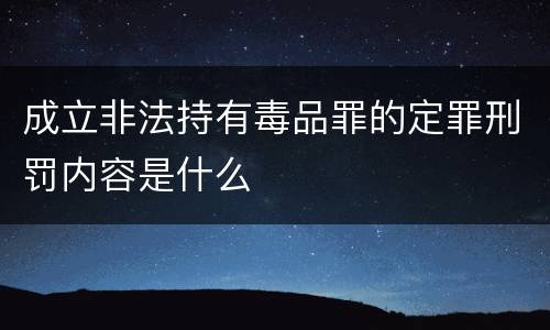 成立非法持有毒品罪的定罪刑罚内容是什么