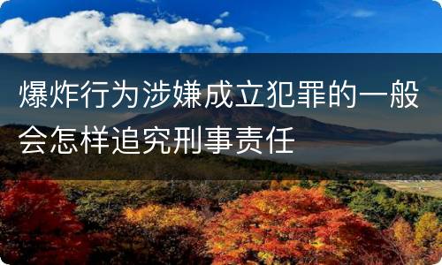 爆炸行为涉嫌成立犯罪的一般会怎样追究刑事责任