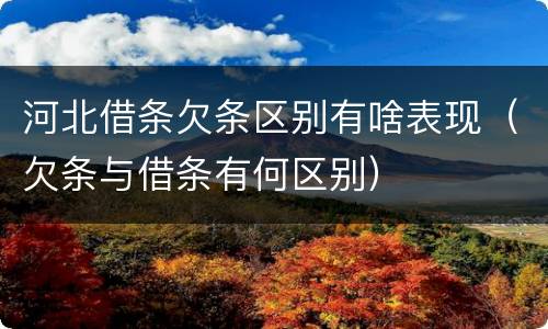河北借条欠条区别有啥表现（欠条与借条有何区别）