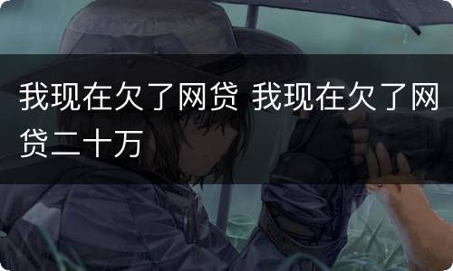 我现在欠了网贷 我现在欠了网贷二十万