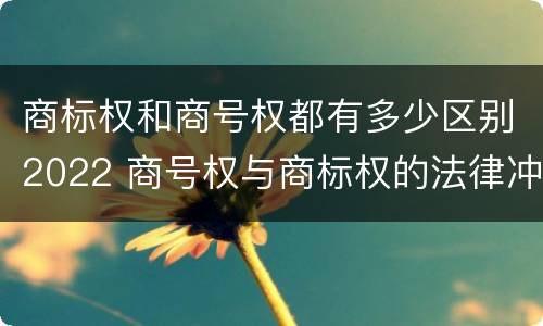 商标权和商号权都有多少区别2022 商号权与商标权的法律冲突与解决