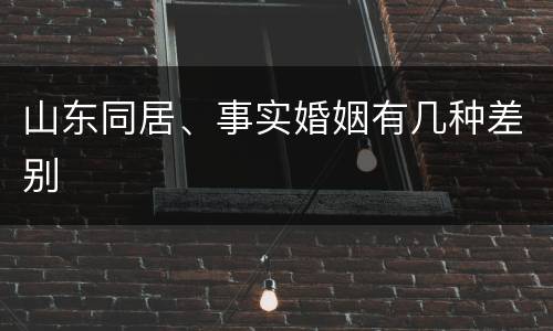 山东同居、事实婚姻有几种差别