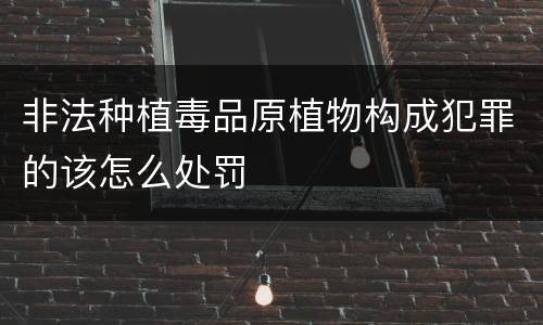 非法种植毒品原植物构成犯罪的该怎么处罚