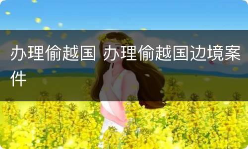办理偷越国 办理偷越国边境案件