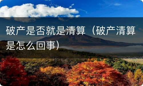 破产是否就是清算（破产清算是怎么回事）