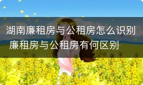 湖南廉租房与公租房怎么识别 廉租房与公租房有何区别