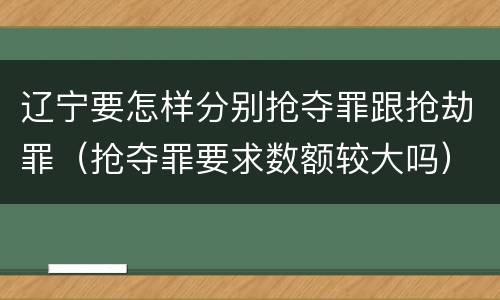 辽宁要怎样分别抢夺罪跟抢劫罪（抢夺罪要求数额较大吗）